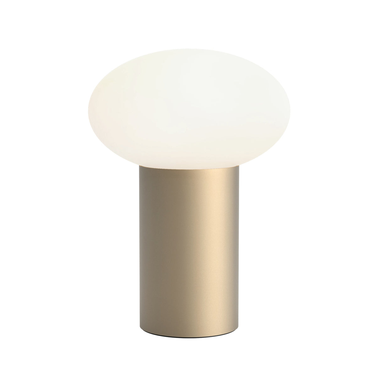 Portable Lights