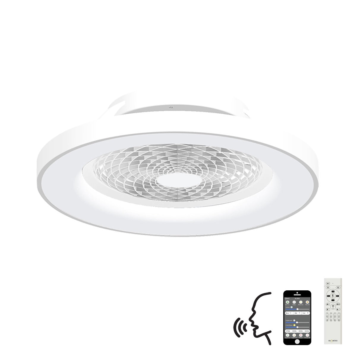 Fans - Indoor Lighting
