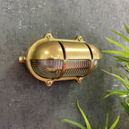 Navigator Palaemon Decorative Eyelid Bulkhead in Solid Brass