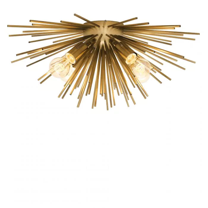 Eichholtz Boivin Ceiling Light in Matte Brass Finish