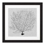 Eichholtz Shadow Sea Fans Set of 4 Wall Art