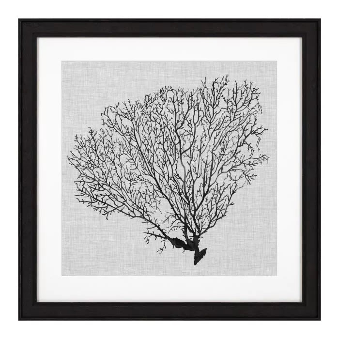 Eichholtz Shadow Sea Fans Set of 4 Wall Art