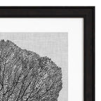 Eichholtz Shadow Sea Fans Set of 4 Wall Art