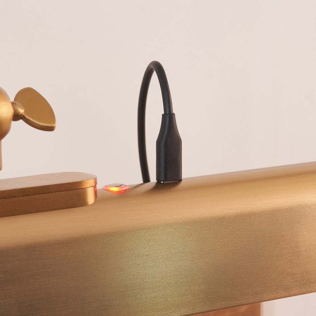 Endon Lasos Rechargeable Picture Light in Warm Brass