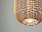Schuller Micron Single Pendant Light in Chrome and Gold