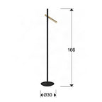 Schuller Varas Floor Lamp in Gold and Black