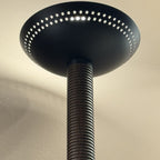 Alora Mood Arden LED Wall Light in Matte Black and Walnut Wood Veneer