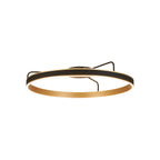 Regent Annevoie 80cm Round LED Ceiling Light - Brushed Gold