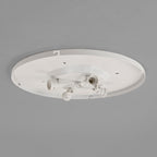 Astro 4-Way Plate Ceiling Light in Matt White