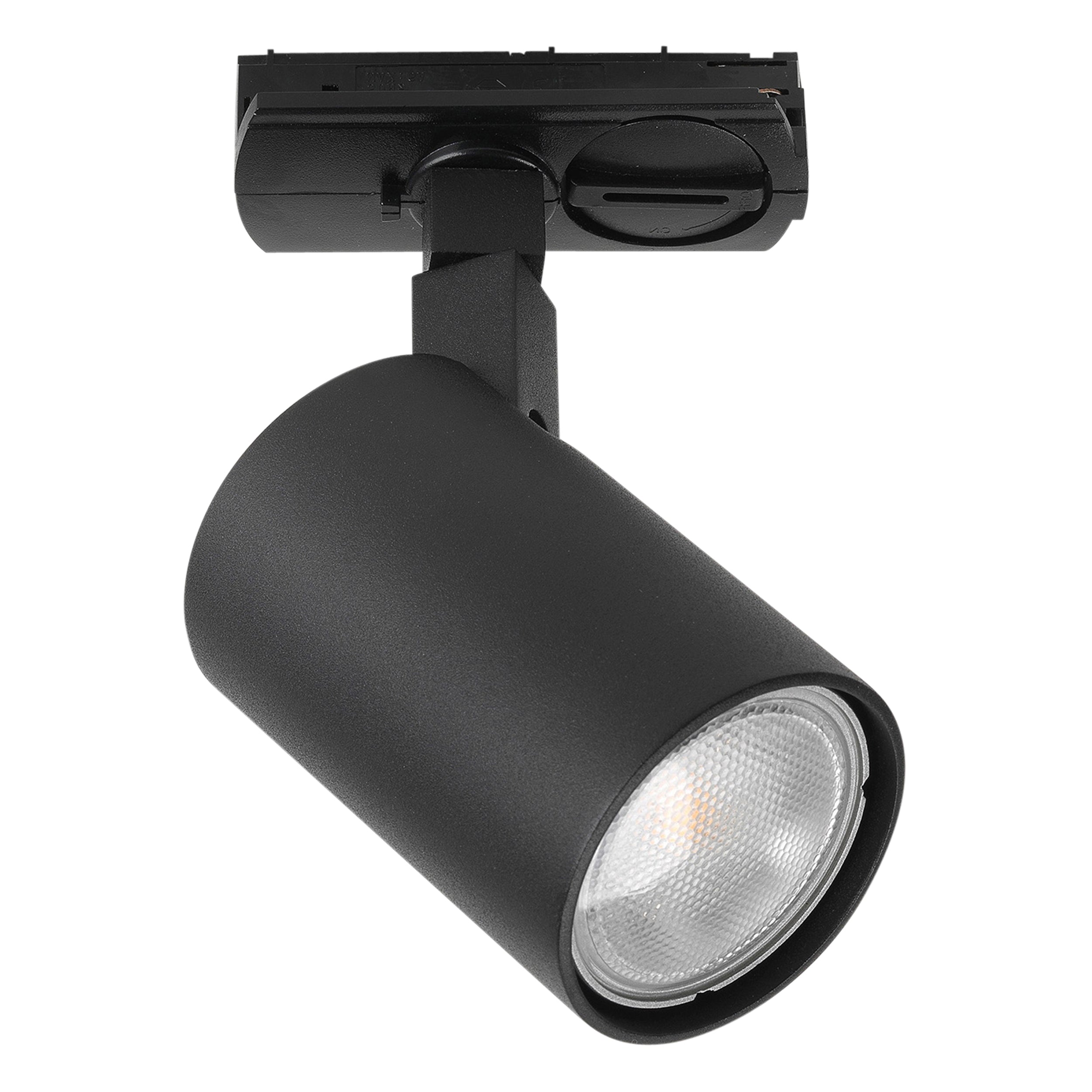 Astro Ascoli Track Light in Textured Black