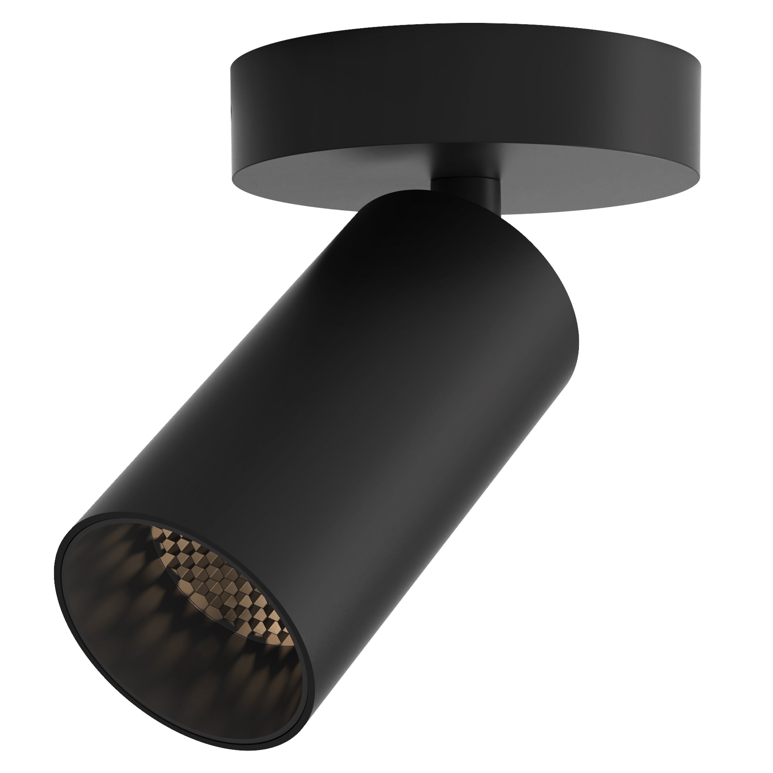 Astro Can 50 Single Spotlight in Matt Black