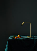 Astro Enna Desk Lamp in Matt Gold