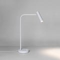 Astro Enna Desk Lamp in Matt White
