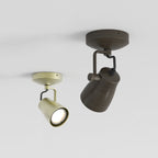 Astro Juno Single Spotlight in Bronze