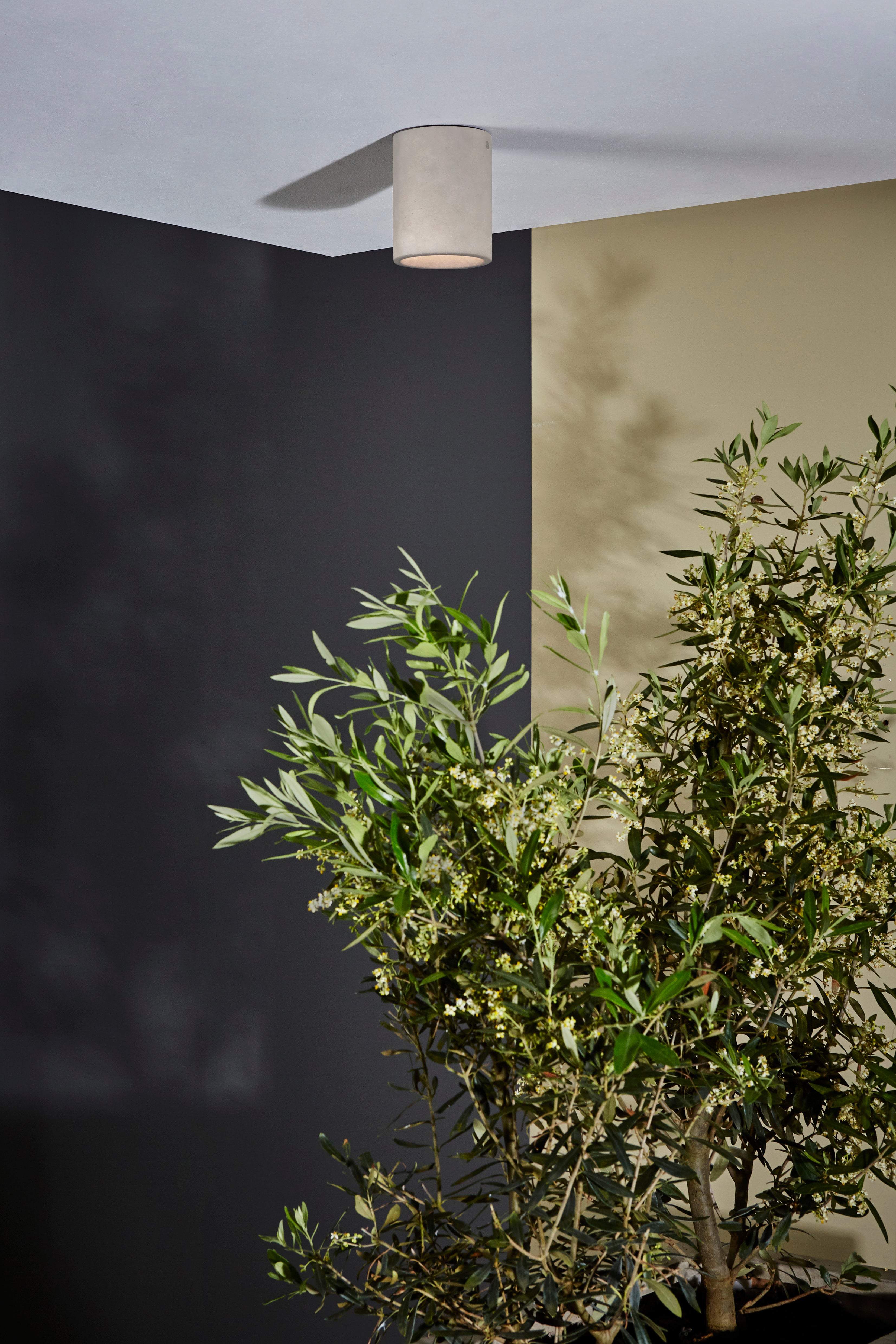 Astro Kos Round Coastal Downlight in Matt Concrete