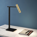 Astro Leda Round Shade in Matt Gold