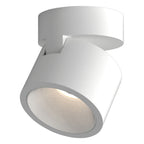 Astro Lynx Spotlight in Matt White