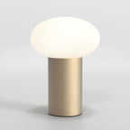 Astro Zeppo Portable Light in Bronze