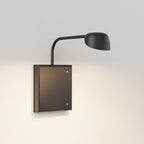 Astro Monet 250 DALI Dimmable Picture Light in Matt Black