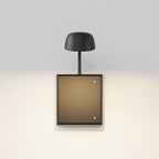Astro Monet 250 DALI Dimmable Picture Light in Matt Black