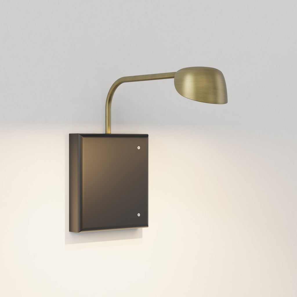 Astro Monet 250 DALI Dimmable Picture Light in Matt Brushed Brass