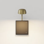 Astro Monet 250 DALI Dimmable Picture Light in Matt Brushed Brass