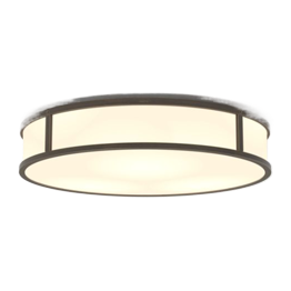 Ceiling Lights