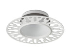 Collingwood H5 Trimless,Plaster-in Dimmable Fire-Rated Fixed Downlight Matt White 3000K