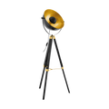 Eglo 49618 Covaleda Single Light Floor Lamp Black and Gold Frame