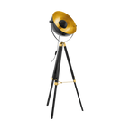 Eglo 49618 Covaleda Single Light Floor Lamp Black and Gold Frame