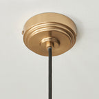 Endon Eltham and Camellia Pendant Light Clear Glass, Brushed Aged Brass and Black Braided Flex