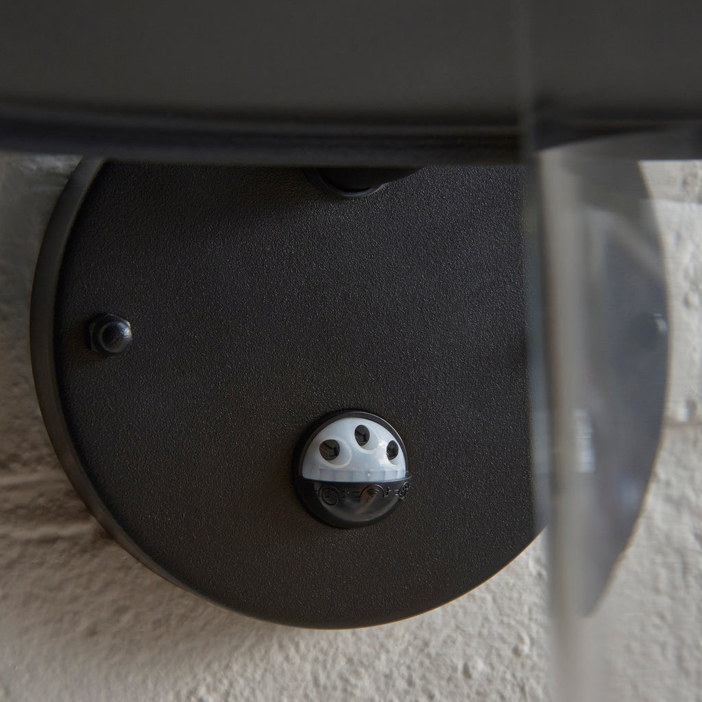 Endon Thornton Outdoor Wall Light in Matt Black and Clear Glass