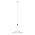 Feiss Darwin 1 Light Pendant Light in Matte White