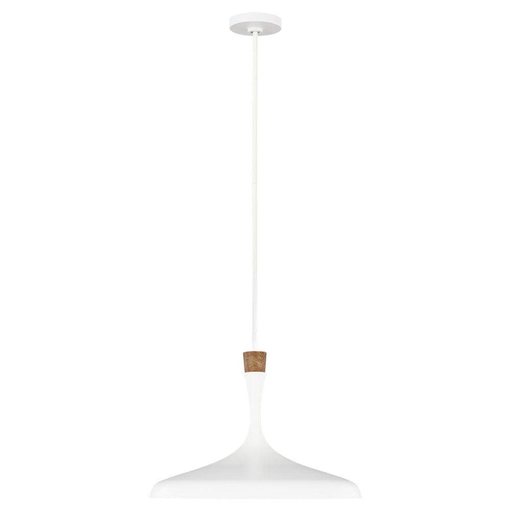 Feiss Darwin 1 Light Pendant Light in Matte White