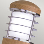 Garden Zone Poole 1 Light Outdoor Wall Light in Stainless Steel with Teak