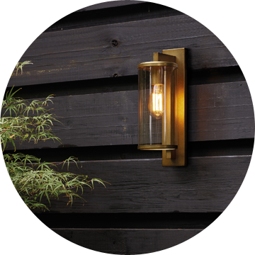 Outdoor & Garden