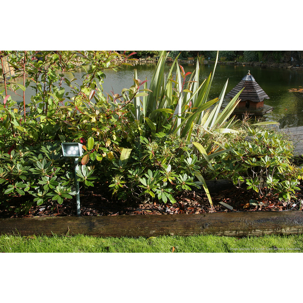 Garden Zone Verdigris Bronze Floodlight