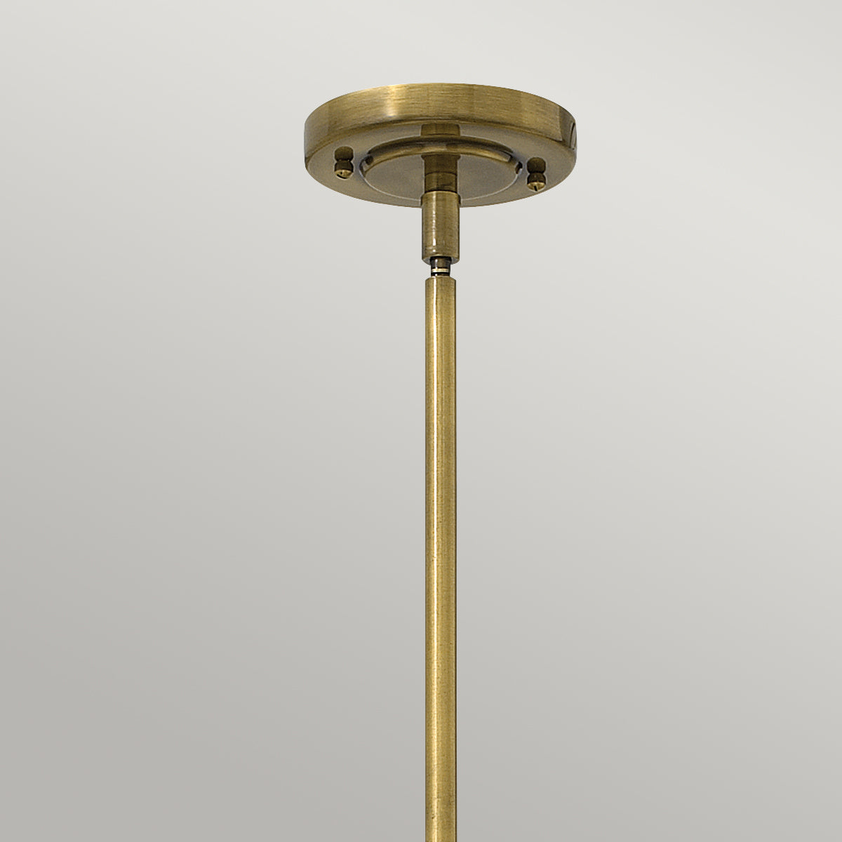 Hinkley Amelia Medium Pendant Light in Bronze with Metal Frame