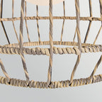 Hinkley Arlen Large Outdoor Pendant in Black & Rattan