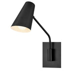 Hinkley Bray Wall Light in Black
