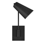 Hinkley Bray Wall Light in Black