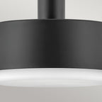 Hinkley Cedric Medium Pendant Lacquered Brass with Opal Glass
