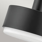 Hinkley Cedric Medium Pendant Lacquered Brass with Opal Glass