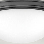 Hinkley Collier 2 Light Small Flush Ceiling Fitting Black Oxide with Seeded Glass