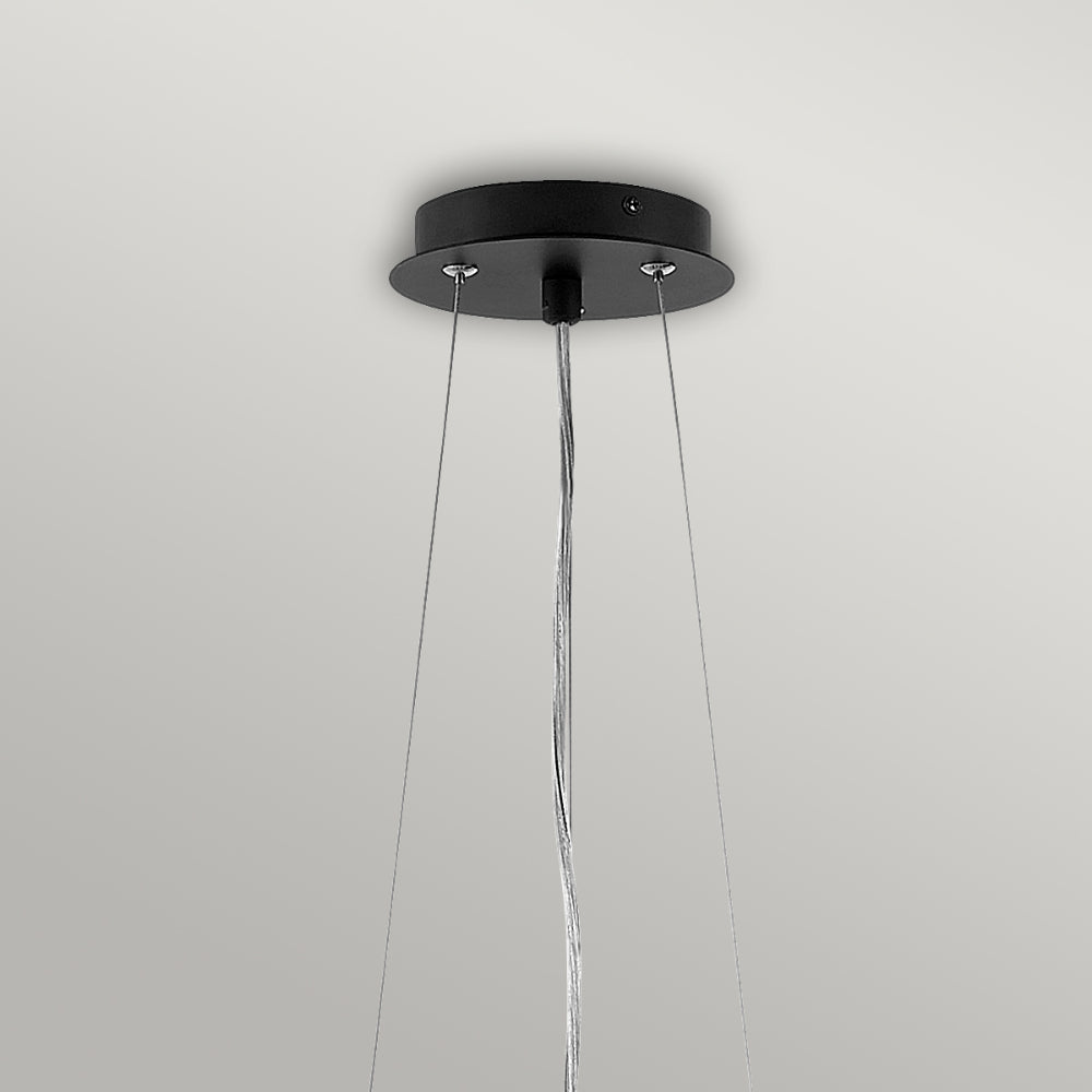 Hinkley Fredrick Ramond 6 Light Pendant Light in Satin Black and Silver