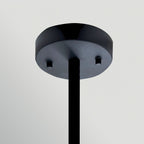 Hinkley Sabina 4 Light Pendant in Black