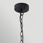 Hinkley Sabina 5 Light Chandelier in Black