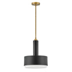 Hinkley Cedric Medium Pendant Lacquered Brass with Opal Glass