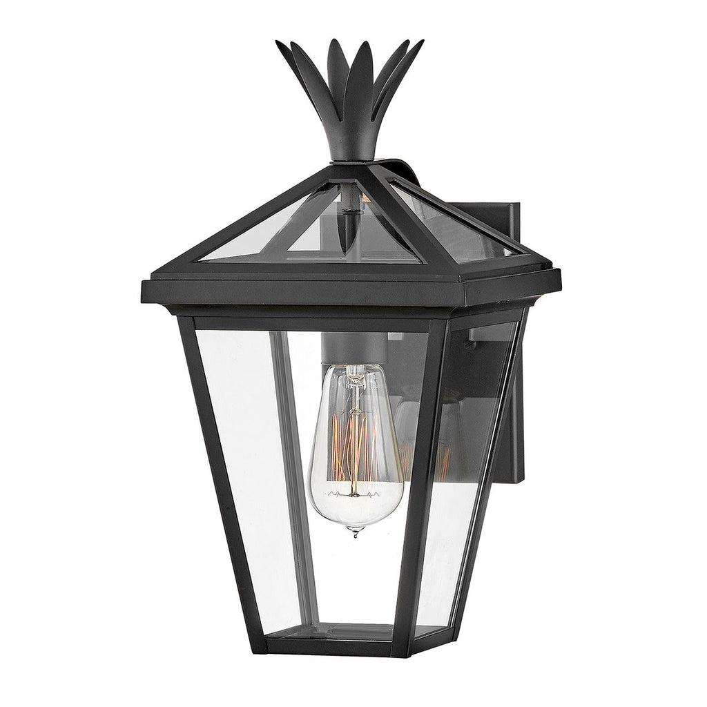 Hinkley Palma Outdoor Small Wall Lantern in Black