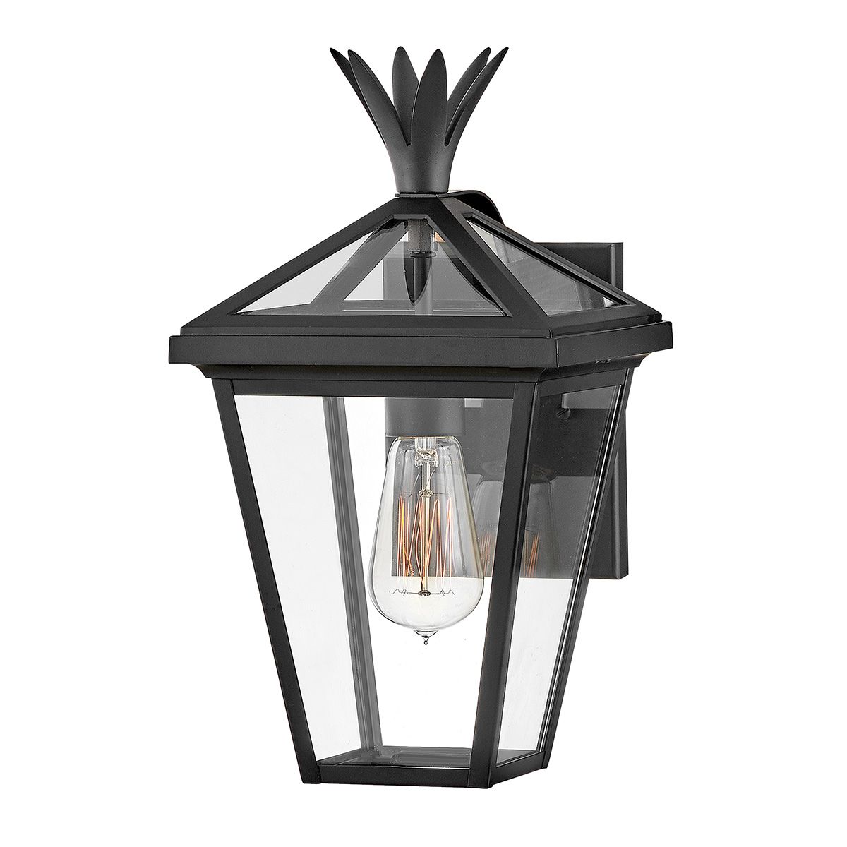 Hinkley Palma Outdoor Small Wall Lantern in Black
